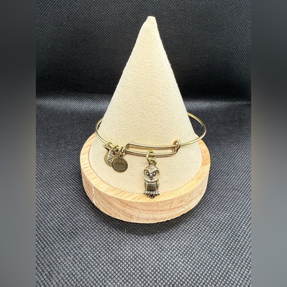 🦉ALEX AND ANI🦉Owl Charm Bangle in Shiny Gold/EUC - Picture 1 of 7